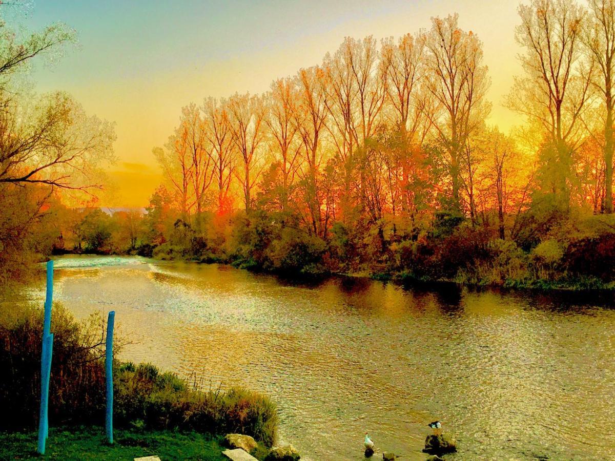 Rhein Romantik Riverview Κωνσταντία Εξωτερικό φωτογραφία